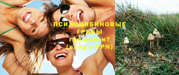 прущая мука Зеленодольск