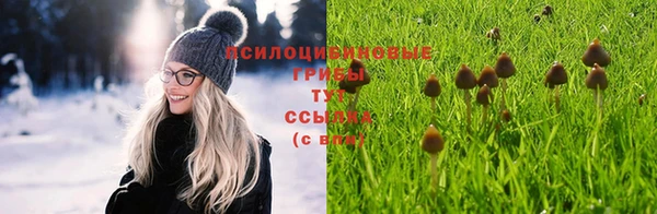 прущая мука Зеленодольск