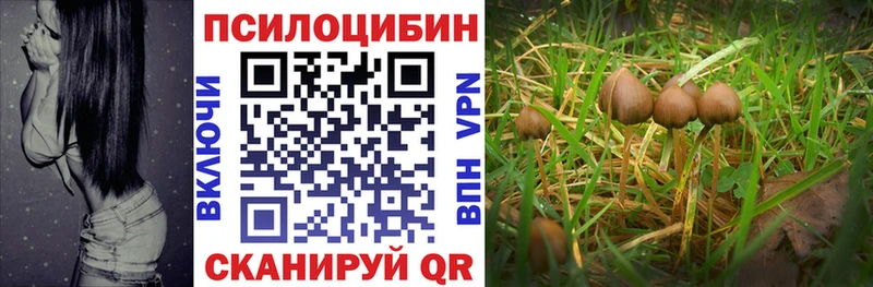 Галлюциногенные грибы MAGIC MUSHROOMS  наркошоп  маркетплейс телеграм  Трёхгорный 